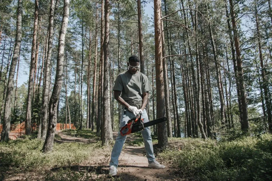 Plantations mediterraneennes sur un terrain niçois