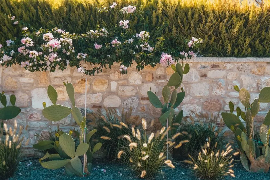 Tonte de pelouse d'un jardin a Nice